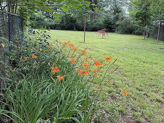 5th image of 1406 Rosedale Ln