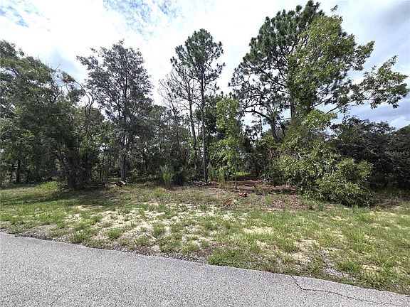 5th image of 13106 SCOTTVILLE STREET LOT 1