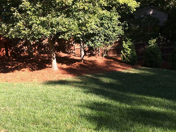 Large fenced in back yard