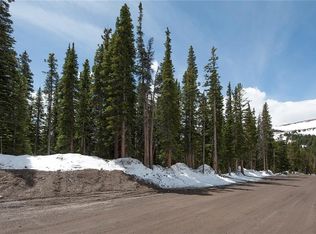 334 Camron Ln, Dillon, CO 80435