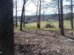 4 Flat Creek Rd, Sevierville, TN 37876