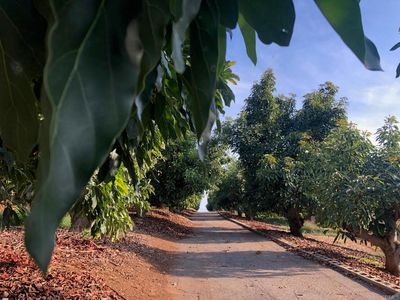 1313 Rice Canyon Rd, Fallbrook, CA, 92028