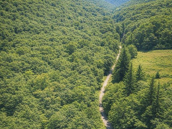 3rd image of 2 Indian Creek Cutoff Rd