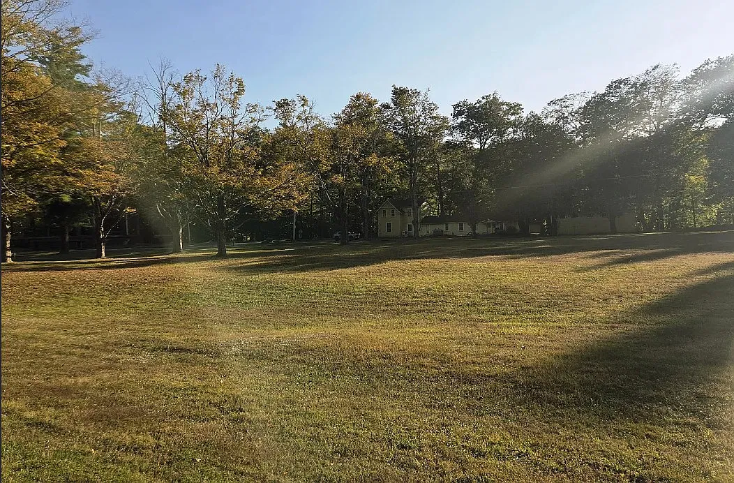 1 bed, $1,350 — Photo 3