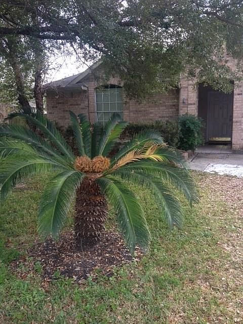 1st image of 4319 Tracemeadow Dr