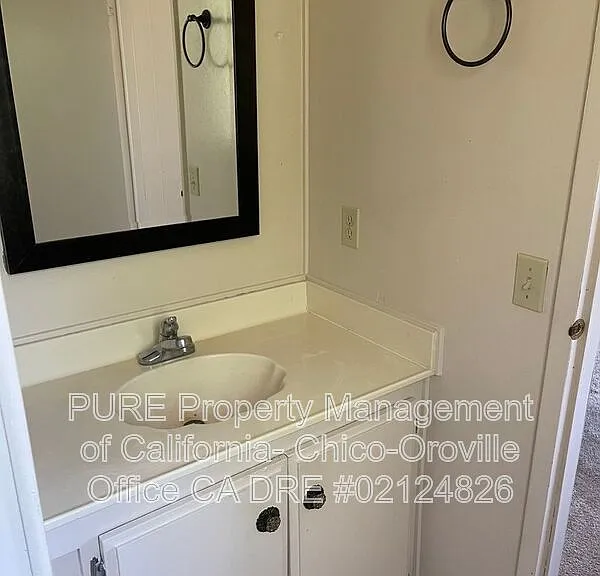 533 Silver Leaf Dr — Photo 14