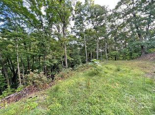 Staghorn Dr #33, Hot Springs, NC 28743