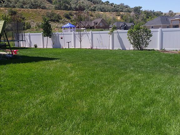 back yard