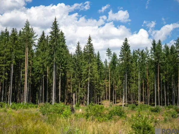 0 Bayou Cumbest Rd, Moss Pt, MS 39562