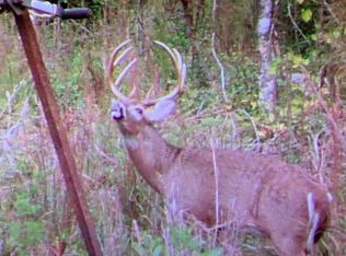 1730 Corner Rd, New Zion, SC 29111