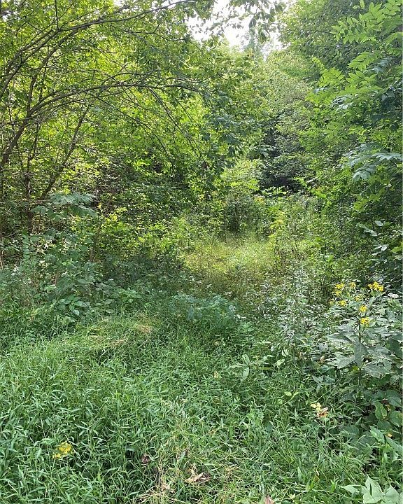 2nd image of Muskingum River Rd