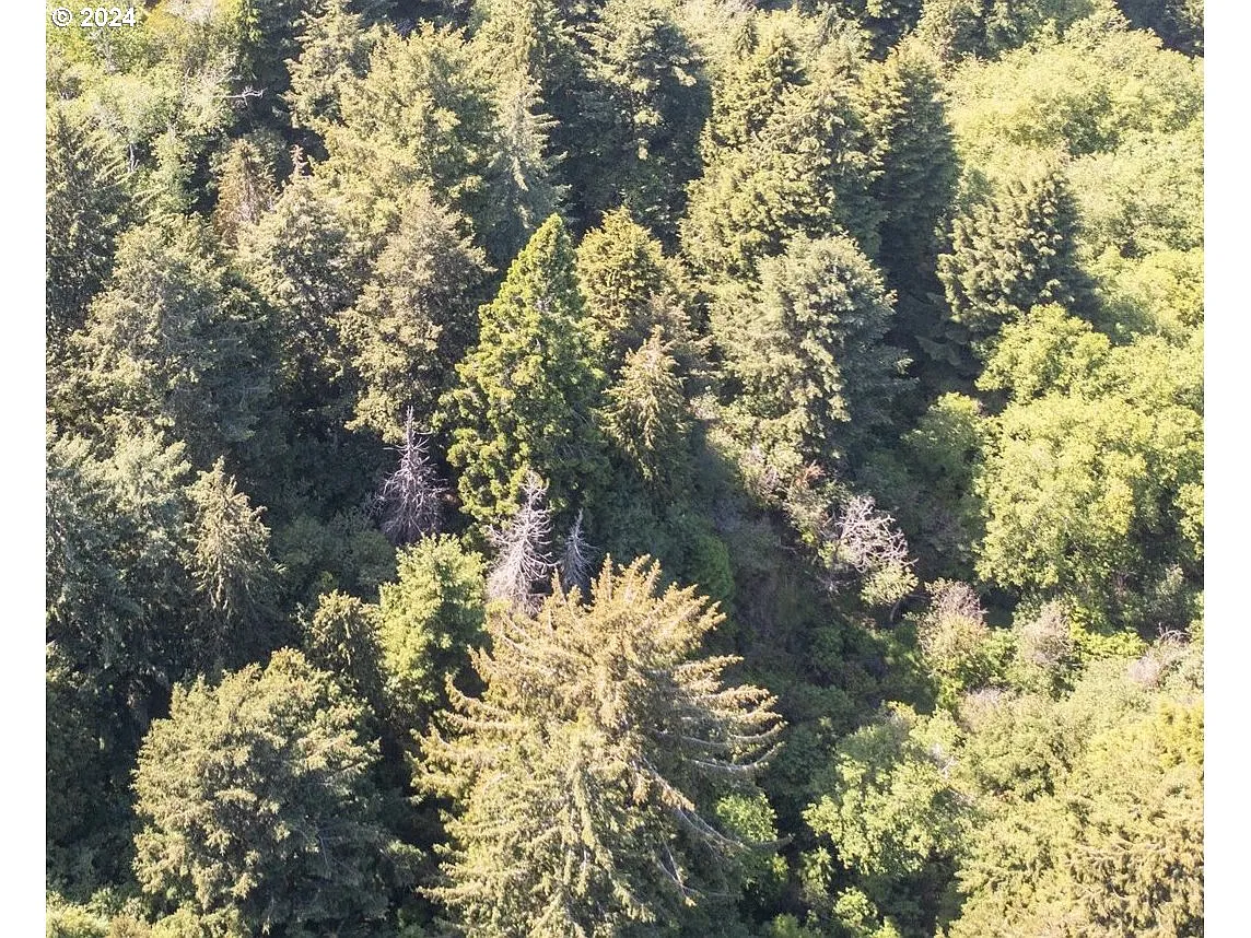 Bill Creek Ln photo 1