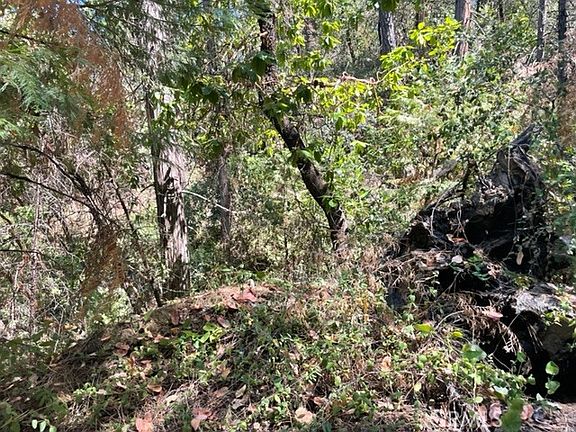 5th image of 12 Broken Springs Rd