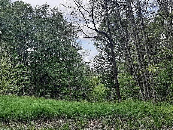 3rd image of 0 Scanlon Hill Rd