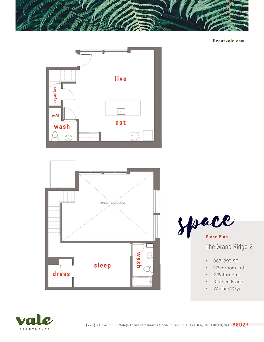 Floor plan 1 Bd + Loft - B