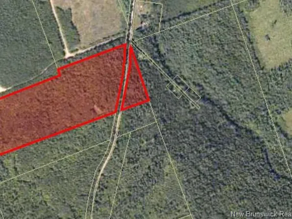 LOT Kaye Rd, Elgin, NB E4Z 1Z3