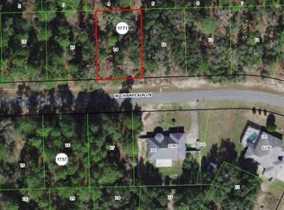 809 W Champlain Ln, Citrus Springs, FL 34434