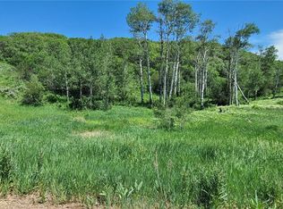 26000 Old Springs Rd, Oak Creek, CO 80467