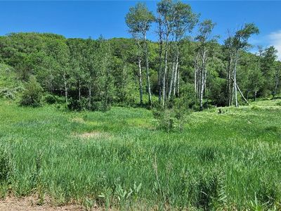 26000 Old Springs Road, Oak Creek, CO, 80467