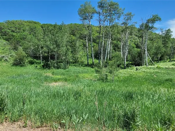 26000 Old Springs Road, Oak Creek, CO 80467
