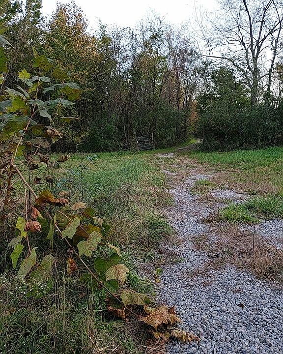 2nd image of 277 Highview Cir