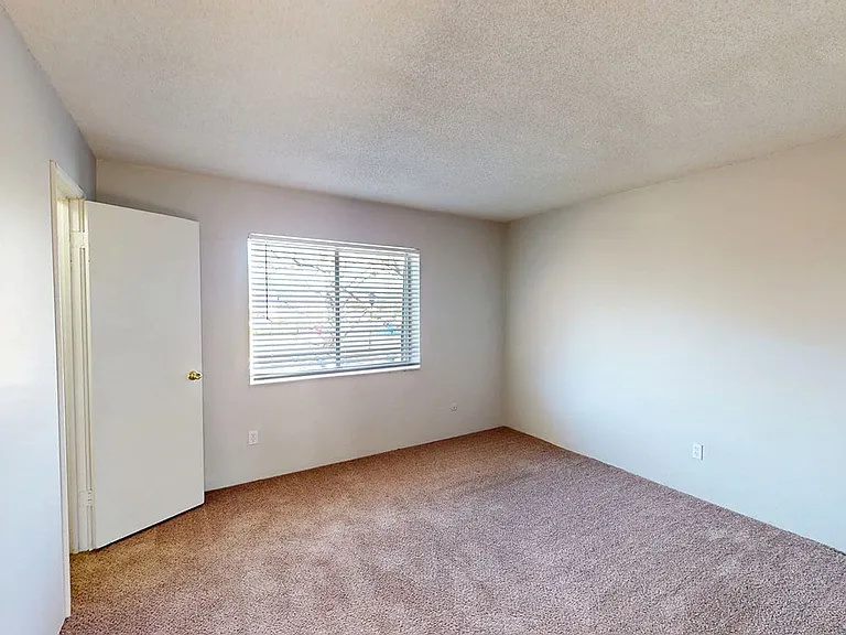 Natural Light Fills the Space