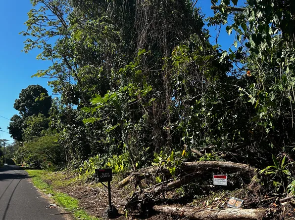 Oopu St, Pahoa, HI 96778