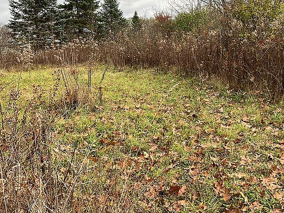 inside lot looking west