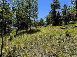 144 Kaufman Court LOT 1213, Hartsel, CO 80449