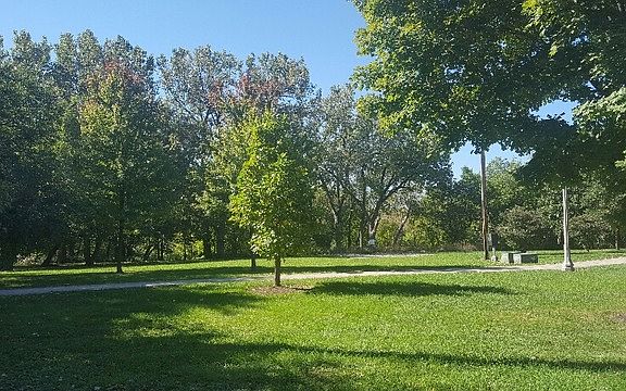 Park view