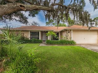 3908 Santee Way, Valrico, FL 33596
