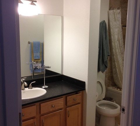 Ample bathroom storage