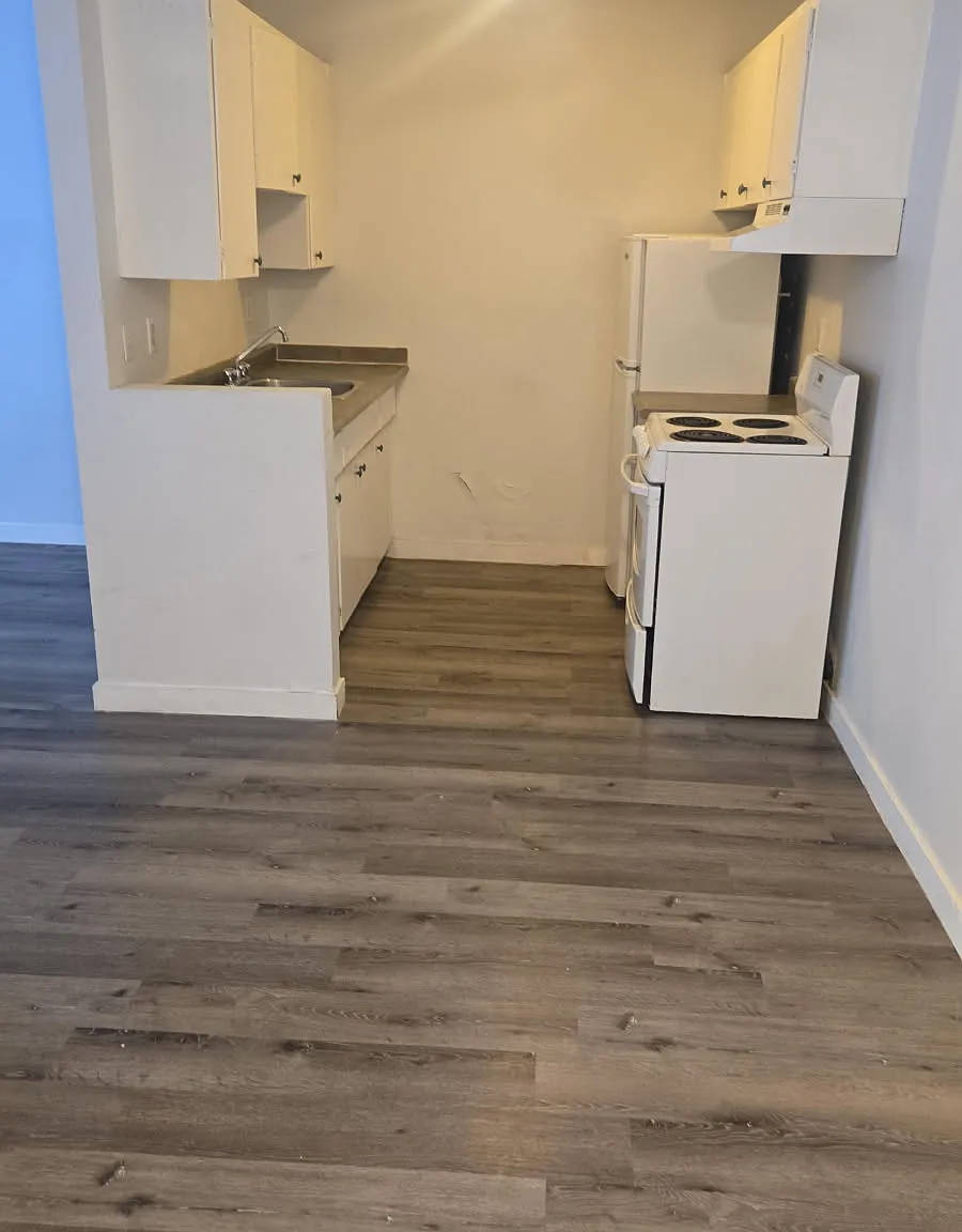 Chateau Fontaine at 10810 112 St w/1BDR — Photo 1