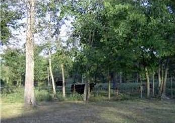 3rd image of 130 Candlewood Est