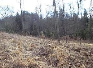 2nd image of 180 Clays Cv