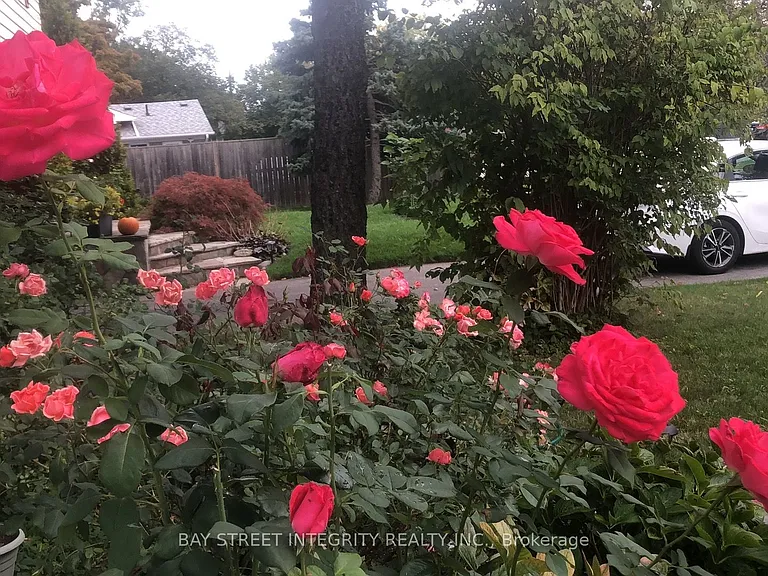 26 Morpeth Rd — Photo 33