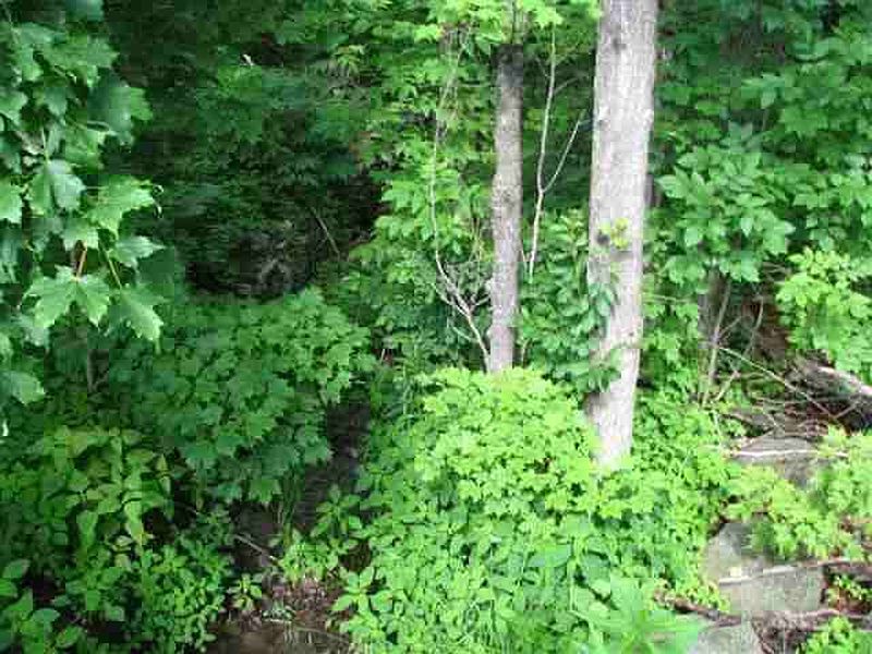 5th image of 265 GATES HILL Road