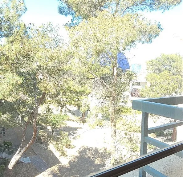 260 E Flamingo Rd #317 — Photo 27