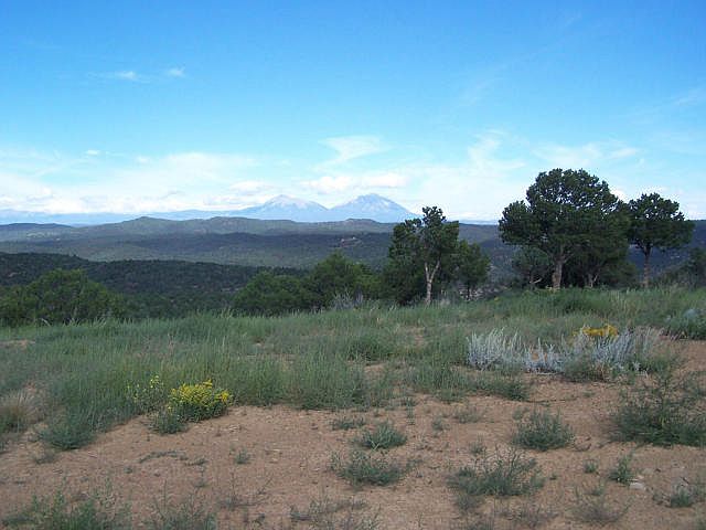 View from Top