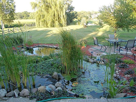 BACKYARD POND