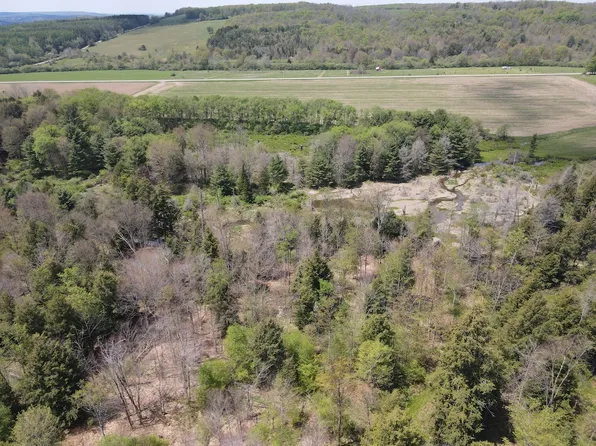 County Route 16 Lot Wp002, Dalton, NY 14836