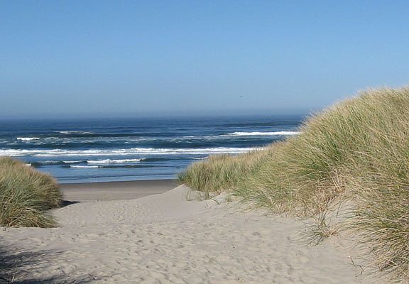 Manzanita Beach