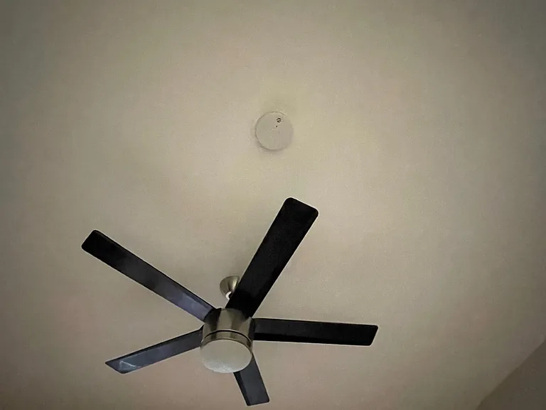 Dining Room Ceiling Fan