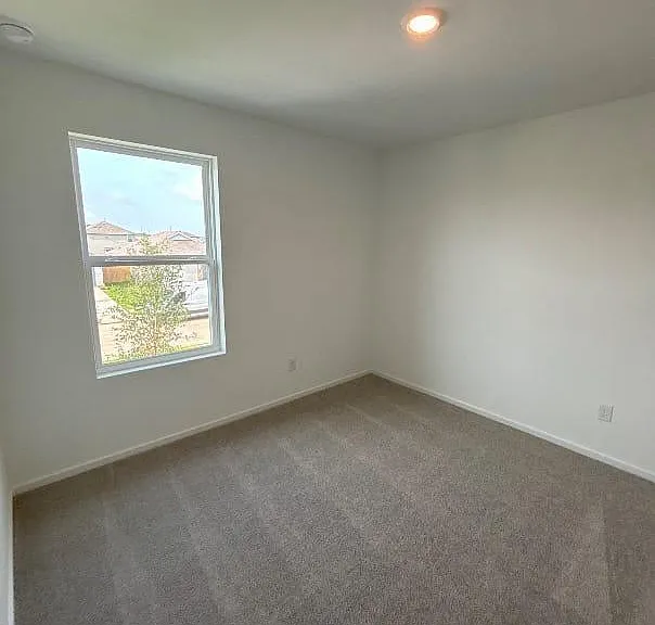 26814 Scarlet Willow Dr — Photo 10