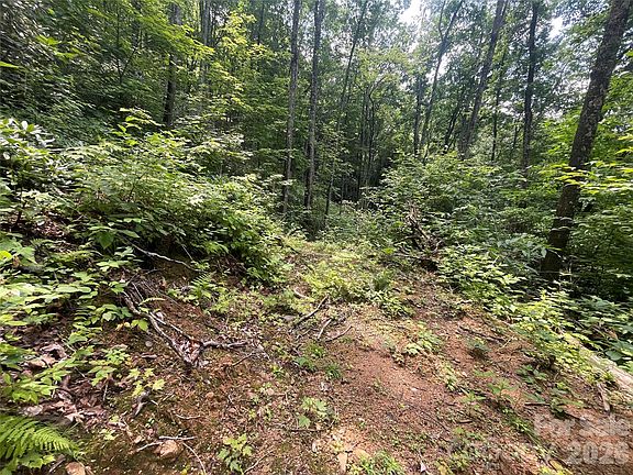 2nd image of 242 Floyd Rd