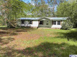 741 W County Line Rd, Hemingway, SC 29554