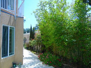 2nd image of 5521 Sierra Verde Rd