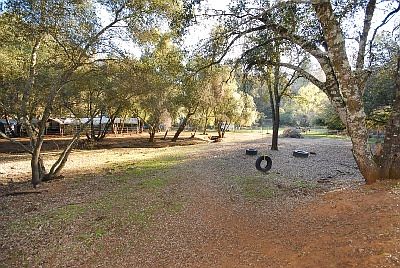 Pasture