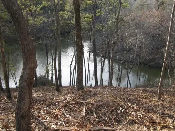 7 Taylors Ferry, Parrish, AL 35580