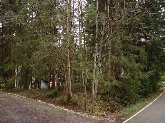 5th image of 24 Fairway Ln